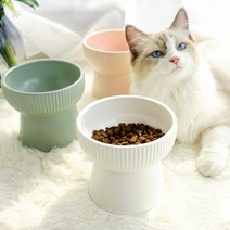 멍해묘해 강아지 밥그릇 고양이 물그릇 수반 도자기 세라믹 애견 식기 매트, 1개, 높은식기+핑크