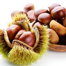 부여 알밤 대 2kg, 부여 알밤 특 2kg
