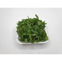 [특급] 민트 1팩 애플민트