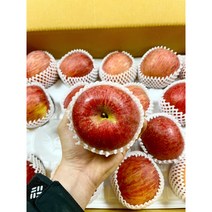 사과 유명한곳 경북 청송 홈골농원 꿀 맛 사과 부사 가정용 5kg, 정품+흠과5kg(소과)