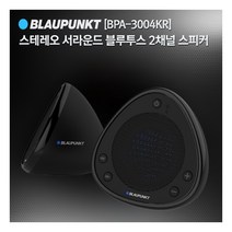 (BLAUPUNKT) BPA-3004KR