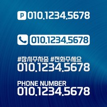 중형20cm 대형30cm 전화번호 스티커 화물차 캠핑카 카라반 Ver-01, 중형, DS02, 04메탈릭골드, 1개