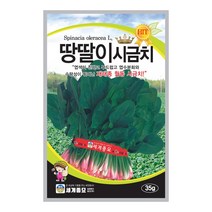 솔림텃밭몰 시금치씨앗 35g 땅딸이시금치 월동시금치 가을재배용