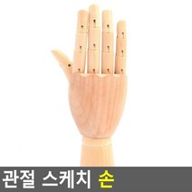 예고 인물정밀화 소묘보조용 오른손 모형 미술시간 스태츄 미대생 미술연습 관절