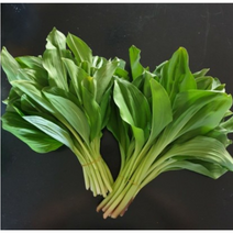 울릉도 자연산 유기농 줄기 명이나물 1kg 2kg 3kg 대박백화점