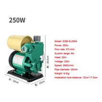지하수펌프 엔진양수기 수압펌프 자동 가정용 220v 부스터 수돗물 냉수 히터 파이프, 250w, 250w
