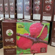 국산 유기농 꾸지뽕 구찌뽕 발효 효소진액 꾸지뽕c 레귤러(R) 100ml 30팩, 10박스