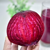 청년농부이야기 땅속의 루비 제주 비트, 제주 비트 10KG, 1개