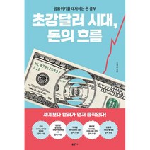 초강달러 시대 돈의 흐름 : 금융위기를 대처하는 돈 공부, 도서