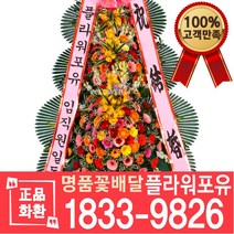 [플라워포유] 축하화환 최고급형 축하화환 화환 오브제 전국꽃배달 축하 개업화환 결혼식화환 고희연 3단화환