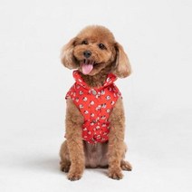 디즈니 캐릭터 펫 패딩