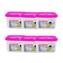 선향 습기 제거제 6개 참숯 제습제 옷장 염화칼슘 방습제 냄새 곰팡이 제거, 선향 참숯습기제거제 6개