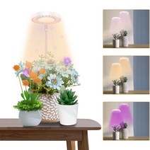 aiwellkay 식물 육성 라이트 led 50W 상당 수경 재배 키트 아마테라스 식물용 led 라이트 프르메리아 헬리오스 그린 led & Purple)