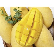 페루 애플망고 태국망고 무지개 골드 망고 마하차녹 명절 선물용 항공 특품 선물세트, 골드망고 선물세트 2kg 6과, 1개