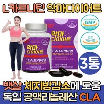 l카르니틴 엘카르니틴 다이어트 체지방감소 3통 CLA 공액리놀레산 기초대사량 증가 L-CARNITINE L-카르니틴
