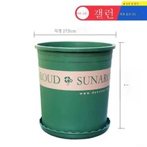 ZZJJC 화분 대전다육플라스틱 특대호 월계다육분재 화분수지갤런 화분, 높이 5갤런 [구경 27.5cm]3개입, 화분받침(비료 보내기+뿌리가루)함유