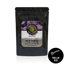 프리미엄 눈엔 차즈기 자소엽 분말 국내산100% 차조기 차 티백 온가족용, 310g, 1개