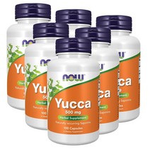 나우푸드 유카 500 mg 용설란 사포닌 100정 NOW Yucca (Yucca spp.), 6팩