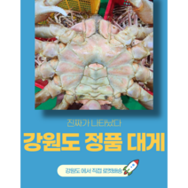 바바푸드 강원도 산지직송 바로배송 정품 대게, 찜(자숙), 2kg, 1개