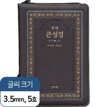 주석 큰성경 개역개정 새찬송가 정46판 (합본/색인/초코), 성서원