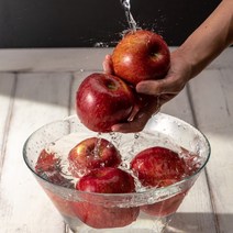 과일시스터즈 부사 사과 5kg, 중소과 5kg (18~19개)
