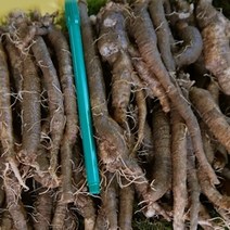 고씨네농장 생더덕1호 피더덕 횡성더덕 야생더덕, 더덕-1호(1Kg)