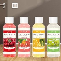 HJ 더허브샵 바이향 디퓨져 리필오일 100ml, 피치
