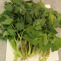 알싸하면서 향기 가득한 취나물 쌉싸름한 맛이 좋은 방풍나물 2kg 4kg, 혼합나물4kg