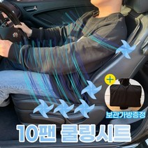 에스비랩 초강력 사이클론 차량용 화물차 통풍시트 쿨링시트 쿨방석 바람방석 12V 24V, 24V(화물차용)
