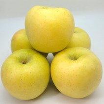 [신 품종] 고당도 시나노골드 황금 사과 3KG 5KG, 8. 정품 5KG 중과 16~18과