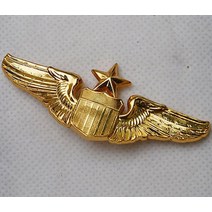 USAF 미국 공군 선임 조종사 금속 날개 배지 US203, 한개옵션0