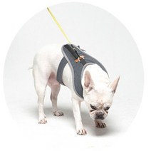 코지힙 네오펫하네스 부드러운 순면원단 강아지 고양이 가슴줄 소형견목줄대신착용, 연보라