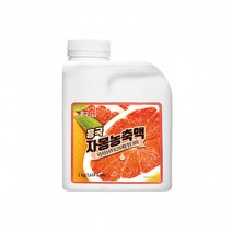 흥국F&B 자몽 농축액 1kg 2개세트, 2개