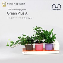 일음쇼핑^*n맘스품 무동력 자동급수시스템 화분+화초 시리즈_L세트)무 물순환 쿠아리 플라스틱 컬러 미니 인테리어 공기청정식 정화식 그린 일음medi*^, ab*^선택없는