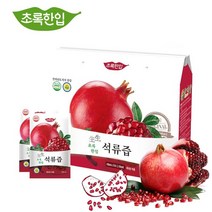 초록한입 국내산 발효 석류즙 21포 (100ml)