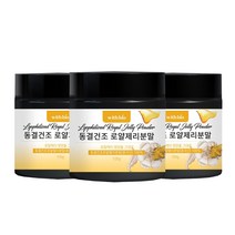 위드바이오 동결건조로얄제리분말 100g 로열젤리 가루 로얄젤리 파우더, 결건조 로얄제리분말 3병