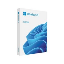 [정품키포함]신제품 윈도우 11 홈/프로 USB+정품키(인증보장상품) Windosw 11 Home/Pro, 윈도우 11 홈 USB제작+정품키