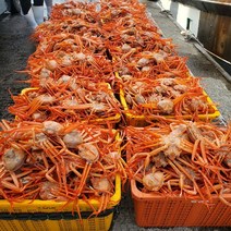 당일조업 당일발송 포항 구룡포 자연산 자숙 홍게 3kg 라면용 일반용 프리미엄, 연지홍게 육수/라면용 3kg 10~12미