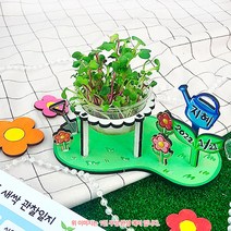 새싹 키우기 미니 정원+관찰일지