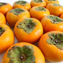 경남 창원 북면단감 3kg / 5kg / 10kg, 11.북면단감 10kg (54-60과내), 상세설명 참조