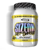 가스파리뉴트리션 사이즈온 Size On Max Perf (레몬 아이스) 3.5lb