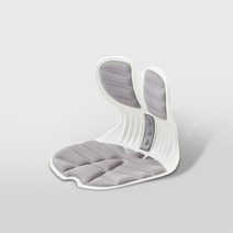 한샘몰pick 에어론 서포트체어 -자세교정 척추의자, 그레이(A)