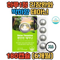 취준생 면접전 긴장완화 자일리톨 함유 상큼한 테아닌 멘톨 과도한 업무 편안한 생활 10대 20대 30대 40대 공시생 긴장감 시험 알파파 리소짐 마그네슘 감마 오리자놀