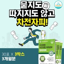 액티브 불용성 식이섬유 차전자피가루 화이버 실리엄 순수 차전피 분말 100% 수용성 섬유질 보충제 스틱 쾌변 차전차 식약처인증 보조제 질경이 씨앗 껍질 섬유소 3박스 약3개월분
