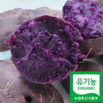 친환경 유기농 무안 자색고구마 3kg 5kg, 무안 유기농 자색고구마5kg(한입~중 혼합), 1개