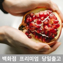 [특등급선별] 석류 1kg 석류즙 석류효능 여성호르몬음식 석류콜라겐 숙취음료 석류먹는법 석류청 석류즙효능 숙취해소제 숙취해소법 숙취두통 숙취