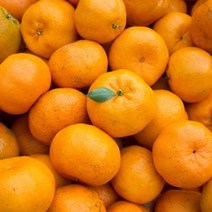 제주 하우스 감귤 5kg(소중과) 제주도 당도선별 노지 타이백 감귤