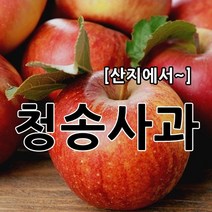 부사 햇사과 싱싱하고 달콤한 소미네 꿀사과, 1박스, 07.가정용사과 5kg 대과 (13과~14과내외)