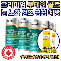 눈 안구 망막 노화 건조 침침 도움 개선 루테인 비타민A 비타민E 아연 항산화 면역력 눈이침침할때 눈이건조할때 눈건강 눈에좋은 마리골드 메리골드 추출물 시니어 실버 노인 어르신