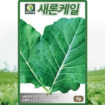새론케일 씨앗 케일 씨 종자 5g